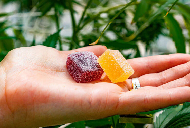 What Are The Benefits Of CBD Gummies